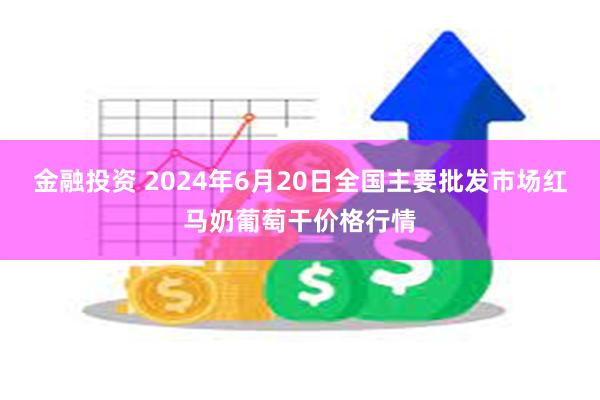 金融投资 2024年6月20日全国主要批发市场红马奶葡萄干价格行情