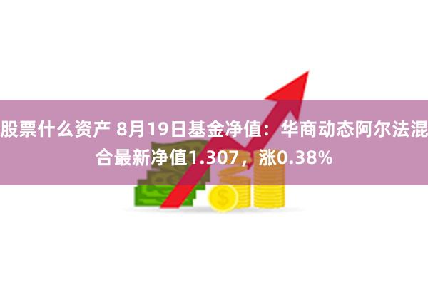 股票什么资产 8月19日基金净值：华商动态阿尔法混合最新净值1.307，涨0.38%