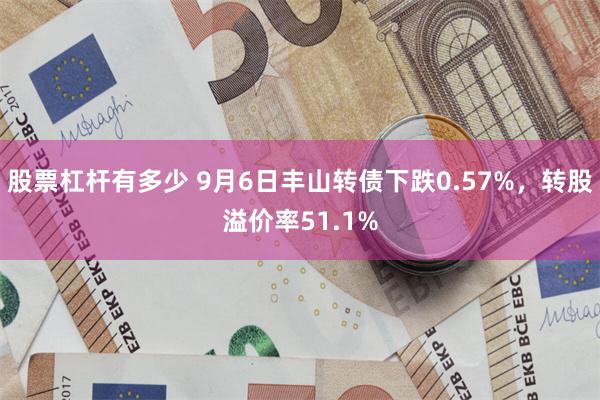 股票杠杆有多少 9月6日丰山转债下跌0.57%，转股溢价率51.1%