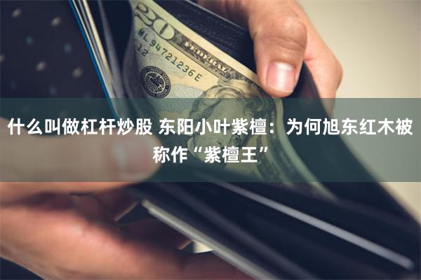 什么叫做杠杆炒股 东阳小叶紫檀：为何旭东红木被称作“紫檀王”