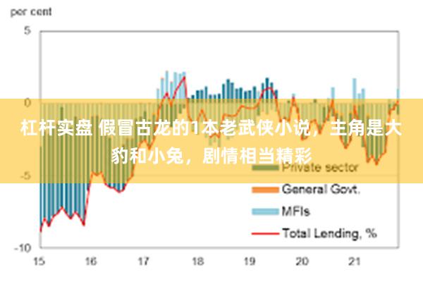 杠杆实盘 假冒古龙的1本老武侠小说，主角是大豹和小兔，剧情相当精彩