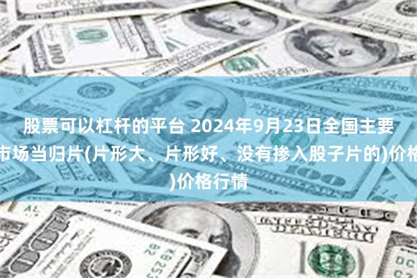 股票可以杠杆的平台 2024年9月23日全国主要批发市场当归片(片形大、片形好、没有掺入股子片的)价格行情