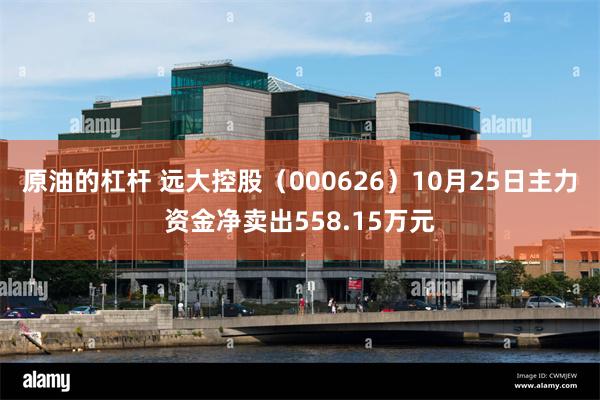 原油的杠杆 远大控股（000626）10月25日主力资金净卖出558.15万元