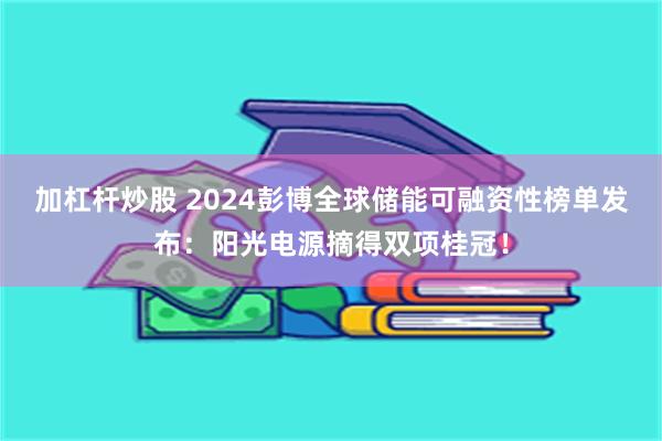 加杠杆炒股 2024彭博全球储能可融资性榜单发布：阳光电源摘得双项桂冠！