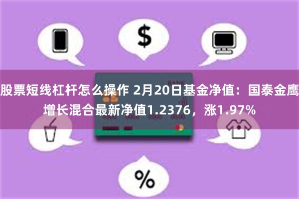 股票短线杠杆怎么操作 2月20日基金净值：国泰金鹰增长混合最新净值1.2376，涨1.97%